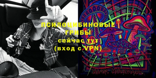 таблы Козельск